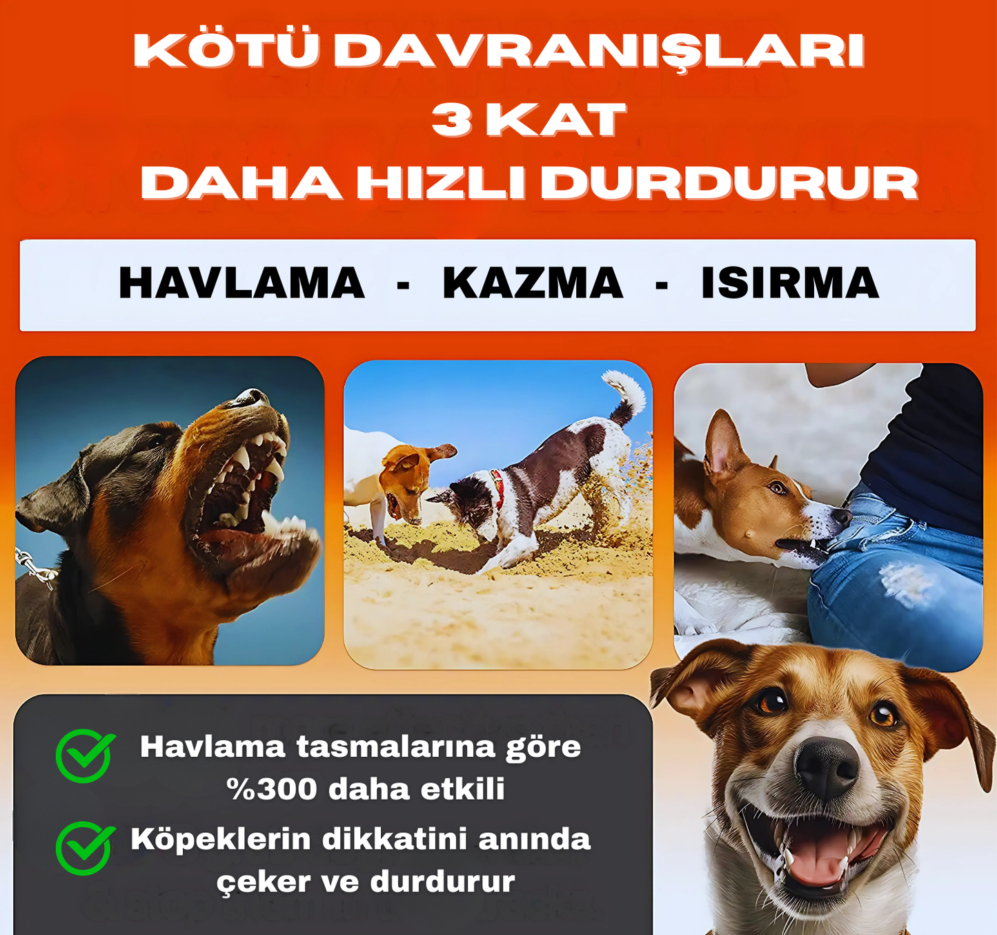 Ultrasonik Köpek Kovucu ve Eğitici Cihaz